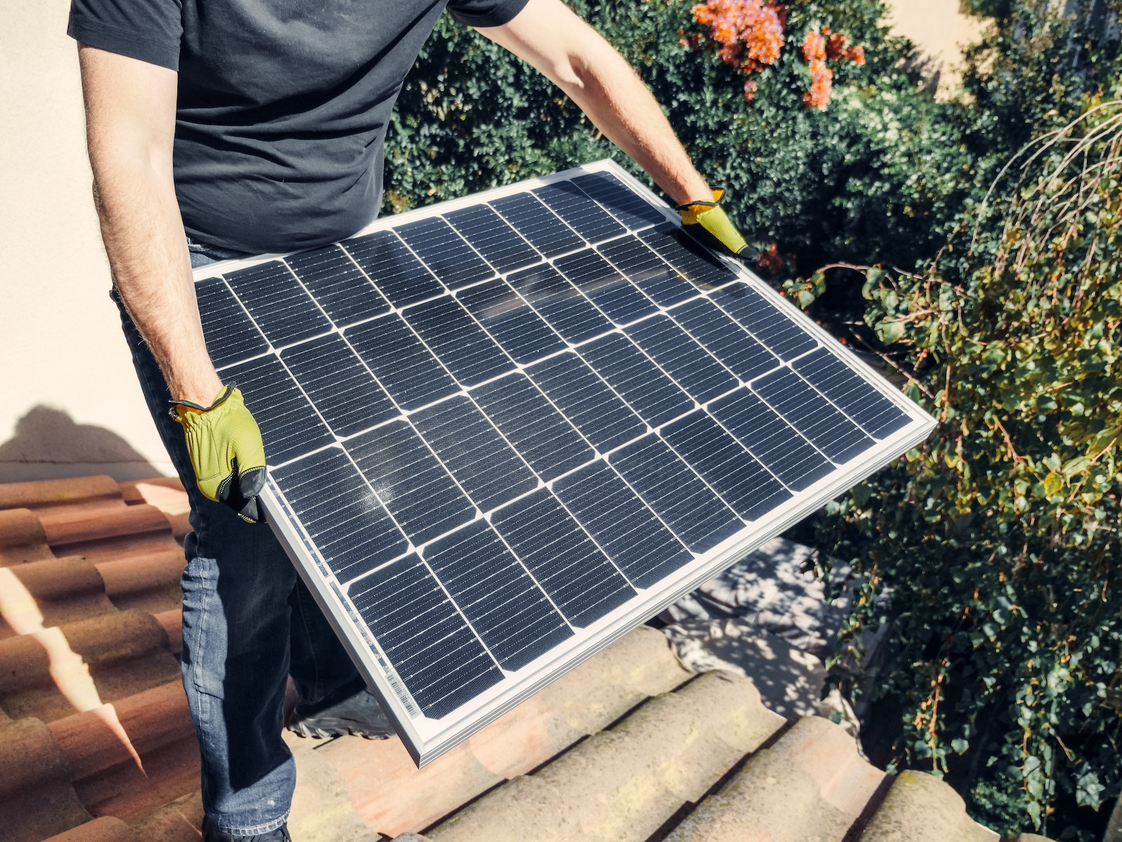 Top Solar Companies in Fresno, California: A Comprehensive Guide